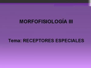 MORFOFISIOLOGA III Tema RECEPTORES ESPECIALES Contenidos Receptores de