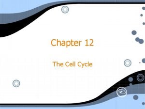 M phase of cell cycle