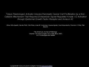Tissue Plasminogen Activator Induces Pancreatic Cancer Cell Proliferation