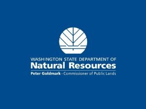 DNR Forest Stewardship Program Review Steve Gibbs Forest