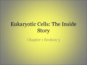 The inside story chapter 1