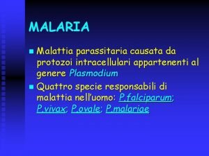 MALARIA Malattia parassitaria causata da protozoi intracellulari appartenenti