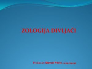 Zologija