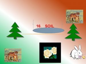 16 SOIL Soil gives support and nourishment to