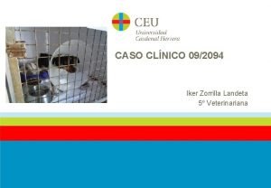 CASO CLNICO 092094 Iker Zorrilla Landeta 5 Veterinariana