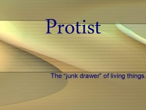 Why is protista the junk drawer of kingdoms