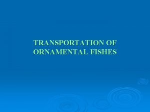 Transportation of ornamental fishes