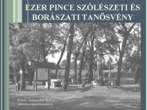 Pince tanösvény Pince tanösvény