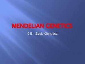 MENDELIAN GENETICS 5 B Basic Genetics Mendelian Genetics