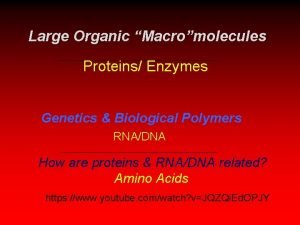 20 amino acids structures