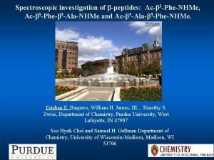 Spectroscopic investigation of peptides Ac 3 PheNHMe Ac