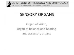 SENSORY ORGANS Organ of vision organ of balance