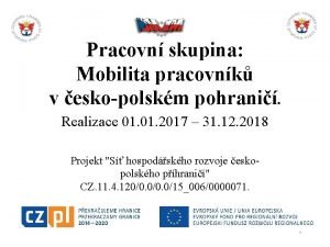 Pracovn skupina Mobilita pracovnk v eskopolskm pohrani Realizace