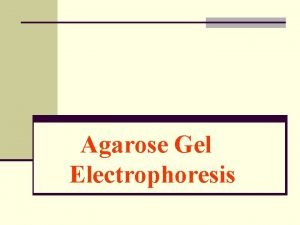 Agarose Gel Electrophoresis Purposes n To understand the