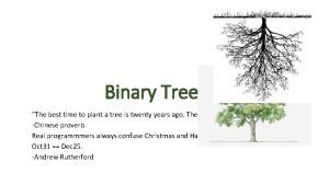 Binary tree plant