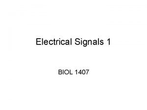 Electrical Signals 1 BIOL 1407 Electrical Signals Changes