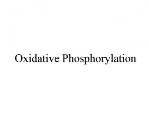 Uncouplers of oxidative phosphorylation