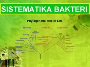 SISTEMATIKA BAKTERI Sistematika ilmu yang mempelajari keanekaragaman mahluk