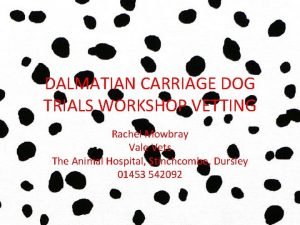 DALMATIAN CARRIAGE DOG TRIALS WORKSHOP VETTING Rachel Mowbray