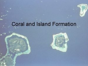 Coral and Island Formation Coral Animal Mineral or