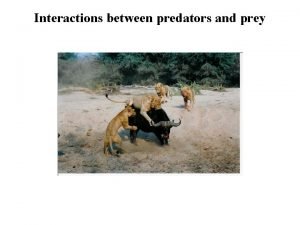 Interactions between predators and prey What is a
