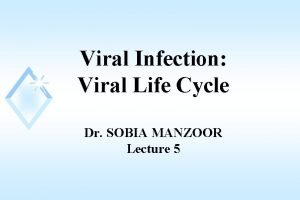 Growth curve of virus Growth curve of virus