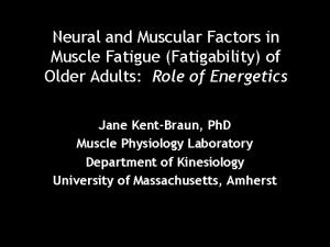 Neural and Muscular Factors in Muscle Fatigue Fatigability