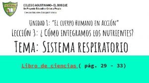 Unidad 1 El cuerpo Humano en Accin Leccin