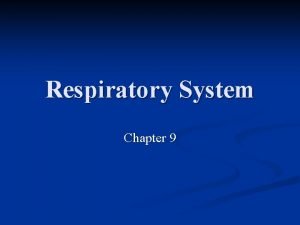 Respiratory System Chapter 9 Respiratory System Functions To