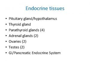 Endocrine tissues Pituitary glandhypothalamus Thyroid gland Parathyroid glands