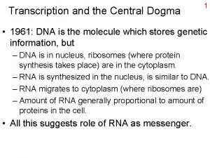 Transcription and the Central Dogma 1 1961 DNA