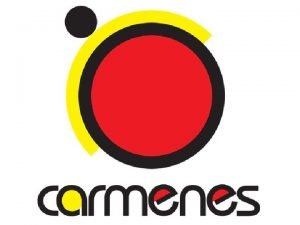 CARMENES Calar Alto highResolution search for M dwarfs