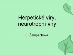 Herpetick viry neurotropn viry E ampachov Herpesviry zkladn