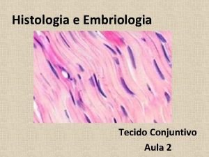 Histologia e Embriologia Tecido Conjuntivo Aula 2 Tecido