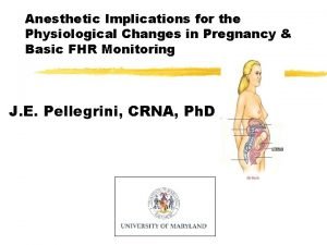 Anesthetic Implications for the Physiological Changes in Pregnancy