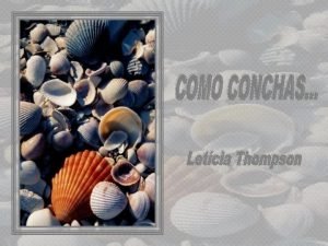 Quando pensamos que estamos sozinhos