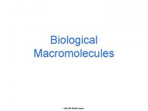 Biological Macromolecules 1 What are Macromolecules Macromolecules large