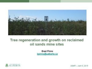 Reclaimed oil sands