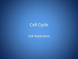 Interphase