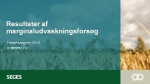 Resultater af marginaludvaskningsforsg Plantekongres 2019 Kristoffer Piil Forsgsarealer