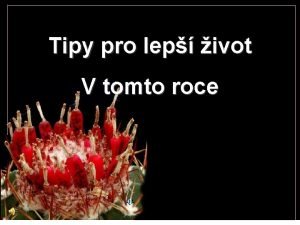 Tipy pro lep ivot V tomto roce Udlej