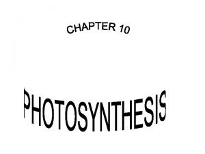 Reaction of photosynthesis