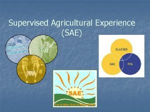 Analytical sae examples