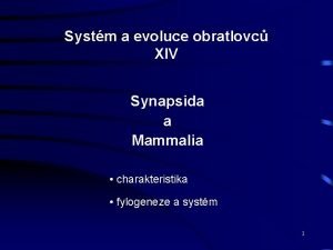 Systm a evoluce obratlovc XIV Synapsida a Mammalia