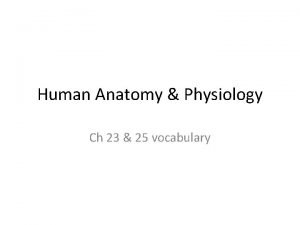 Anatomy and physiology vocabulary