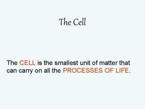 Smallest cell organelle