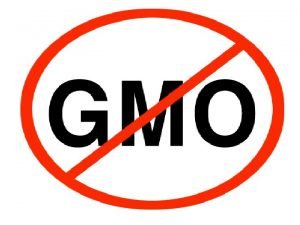 Gmo nədir