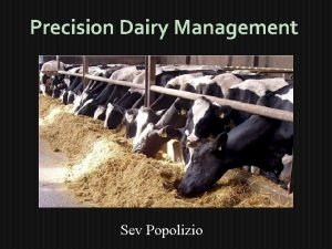 Precision Dairy Management Sev Popolizio What is Precision