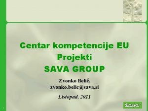 Centar kompetencije EU Projekti SAVA GROUP Zvonko Beli