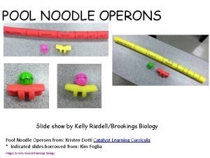POOL NOODLE OPERONS Slide show by Kelly RiedellBrookings